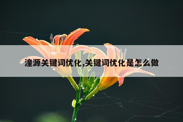 湟源关键词优化,关键词优化是怎么做