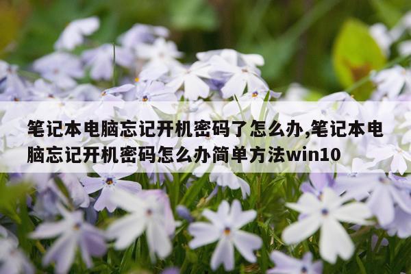 笔记本电脑忘记开机密码了怎么办,笔记本电脑忘记开机密码怎么办简单方法win10