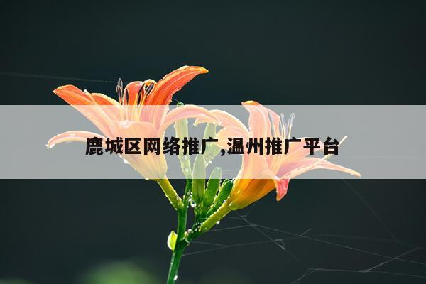 鹿城区网络推广,温州推广平台
