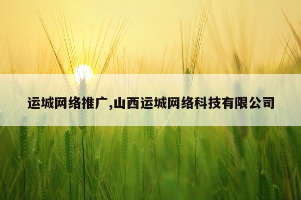 运城网络推广,山西运城网络科技有限公司