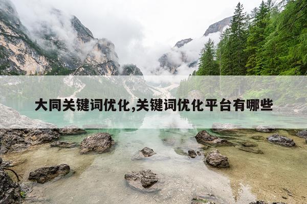 大同关键词优化,关键词优化平台有哪些