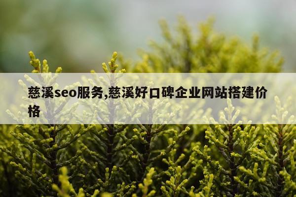 慈溪seo服务,慈溪好口碑企业网站搭建价格