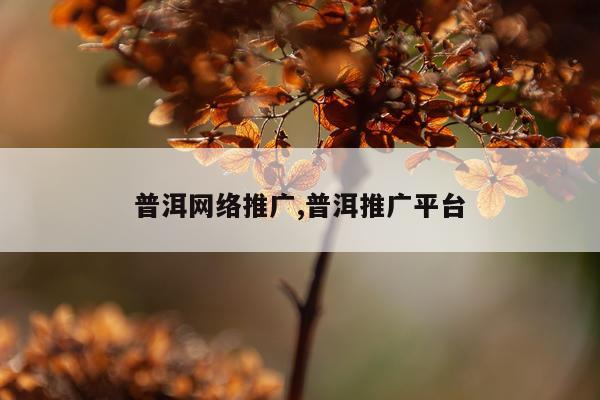 普洱网络推广,普洱推广平台