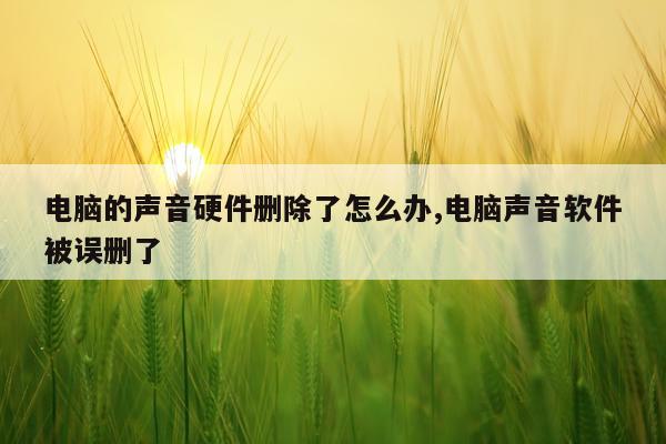 电脑的声音硬件删除了怎么办,电脑声音软件被误删了