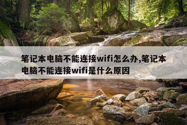 笔记本电脑不能连接wifi怎么办,笔记本电脑不能连接wifi是什么原因
