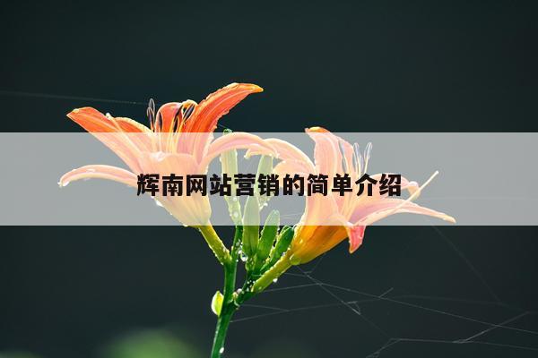 辉南网站营销的简单介绍