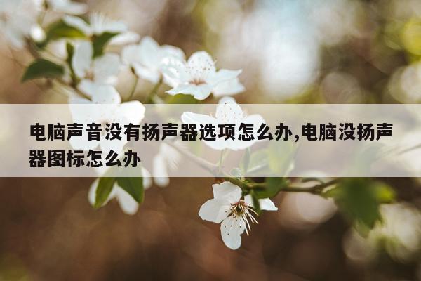 电脑声音没有扬声器选项怎么办,电脑没扬声器图标怎么办