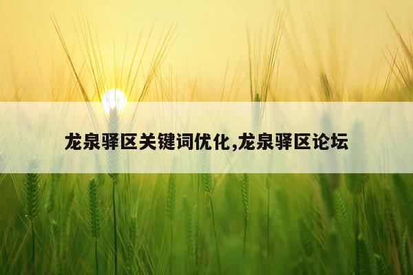龙泉驿区关键词优化,龙泉驿区论坛