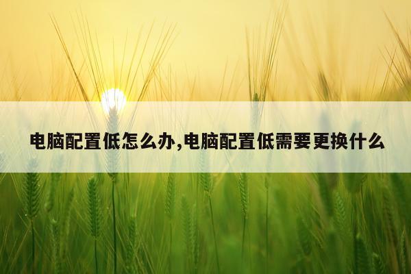 电脑配置低怎么办,电脑配置低需要更换什么