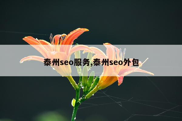 泰州seo服务,泰州seo外包