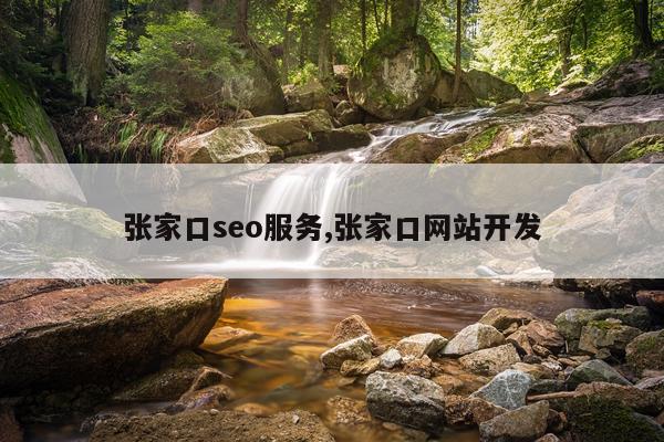 张家口seo服务,张家口网站开发