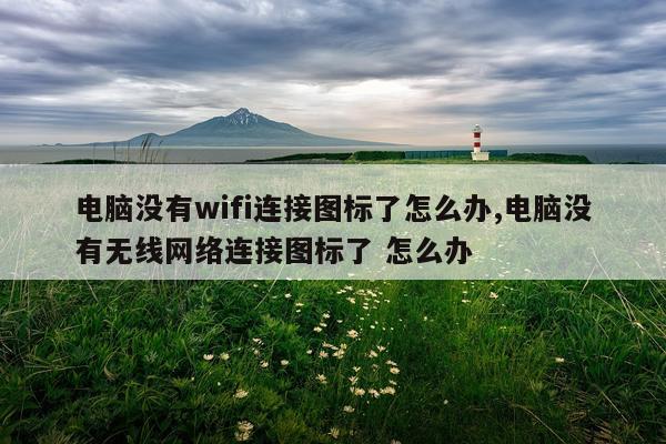 电脑没有wifi连接图标了怎么办,电脑没有无线网络连接图标了 怎么办