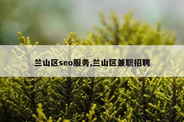 兰山区seo服务,兰山区兼职招聘