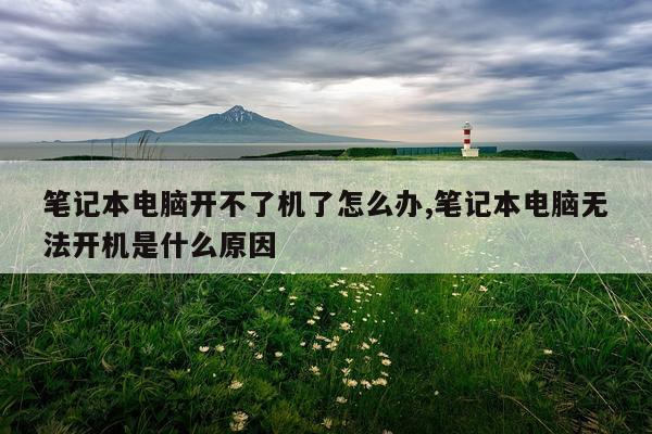 笔记本电脑开不了机了怎么办,笔记本电脑无法开机是什么原因