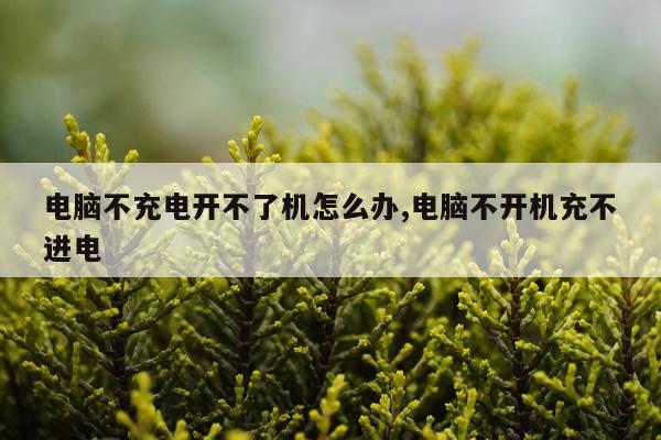 电脑不充电开不了机怎么办,电脑不开机充不进电
