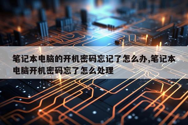 笔记本电脑的开机密码忘记了怎么办,笔记本电脑开机密码忘了怎么处理