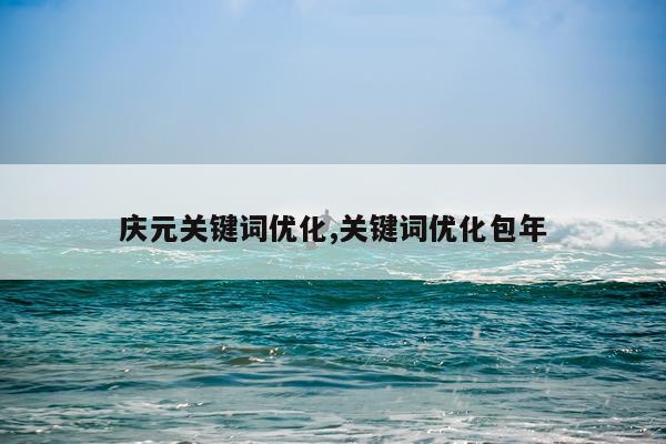 庆元关键词优化,关键词优化包年