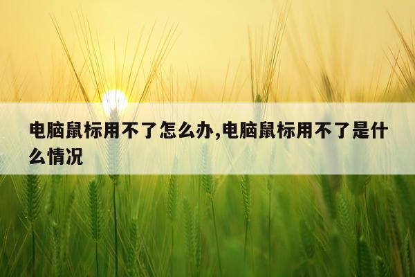 电脑鼠标用不了怎么办,电脑鼠标用不了是什么情况