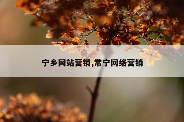 宁乡网站营销,常宁网络营销