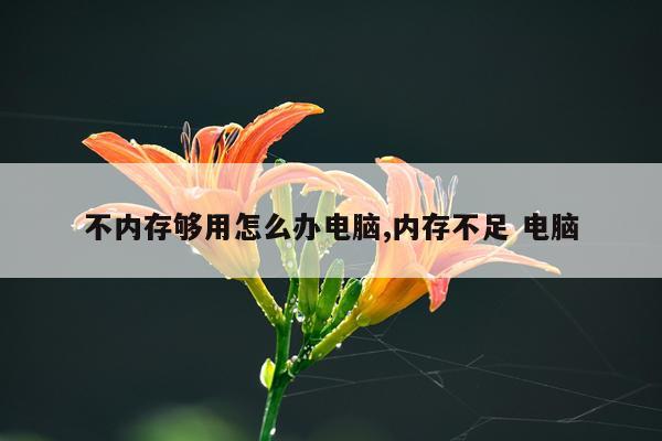 不内存够用怎么办电脑,内存不足 电脑