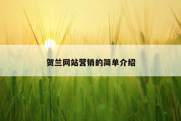 贺兰网站营销的简单介绍