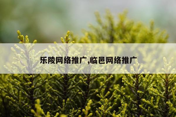 乐陵网络推广,临邑网络推广
