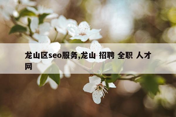 龙山区seo服务,龙山 招聘 全职 人才网