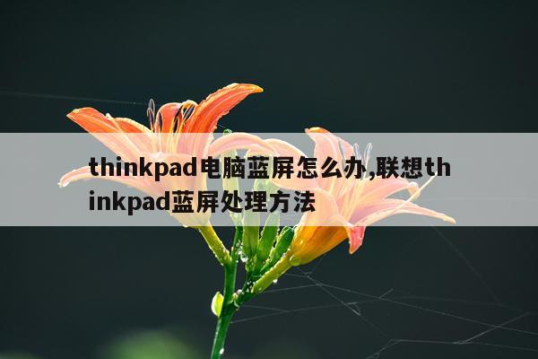thinkpad电脑蓝屏怎么办,联想thinkpad蓝屏处理方法