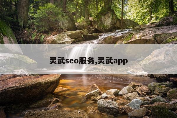 灵武seo服务,灵武app