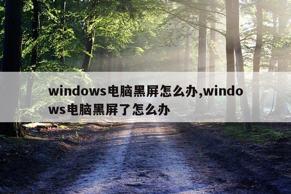 windows电脑黑屏怎么办,windows电脑黑屏了怎么办