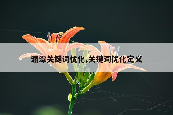 湄潭关键词优化,关键词优化定义