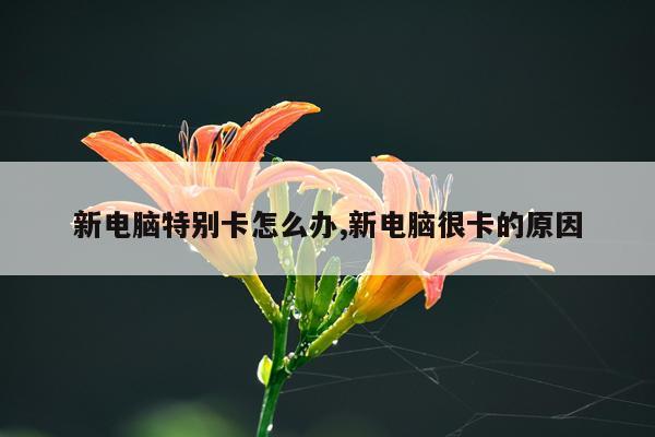 新电脑特别卡怎么办,新电脑很卡的原因