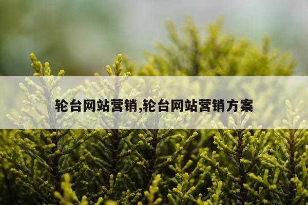 轮台网站营销,轮台网站营销方案