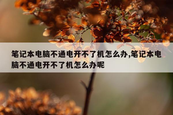 笔记本电脑不通电开不了机怎么办,笔记本电脑不通电开不了机怎么办呢