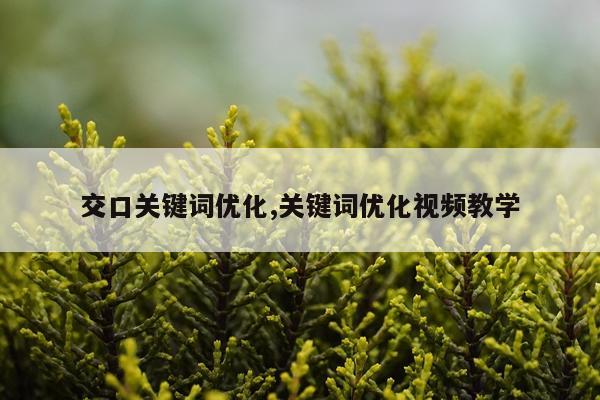 交口关键词优化,关键词优化视频教学