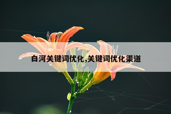 白河关键词优化,关键词优化渠道