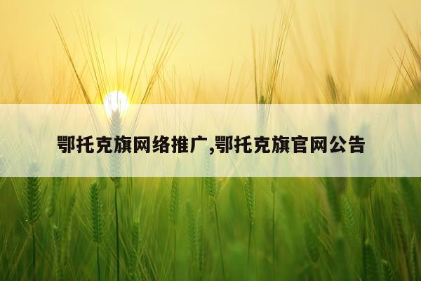 鄂托克旗网络推广,鄂托克旗官网公告