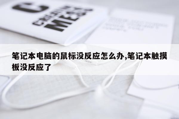 笔记本电脑的鼠标没反应怎么办,笔记本触摸板没反应了