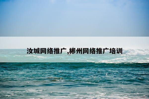 汝城网络推广,郴州网络推广培训
