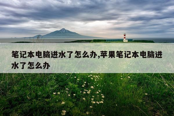 笔记本电脑进水了怎么办,苹果笔记本电脑进水了怎么办
