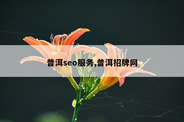 普洱seo服务,普洱招牌网
