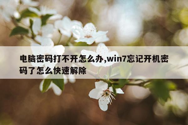 电脑密码打不开怎么办,win7忘记开机密码了怎么快速解除