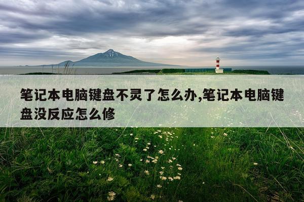 笔记本电脑键盘不灵了怎么办,笔记本电脑键盘没反应怎么修