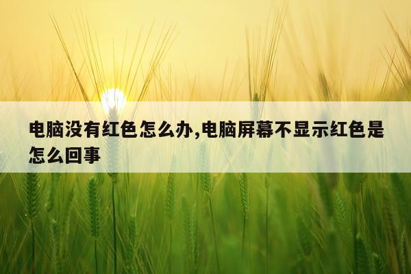 电脑没有红色怎么办,电脑屏幕不显示红色是怎么回事