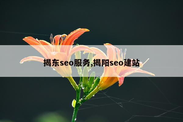 揭东seo服务,揭阳seo建站