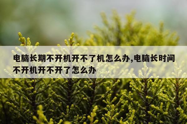 电脑长期不开机开不了机怎么办,电脑长时间不开机开不开了怎么办