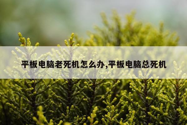 平板电脑老死机怎么办,平板电脑总死机