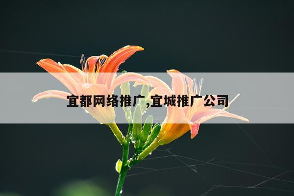 宜都网络推广,宜城推广公司