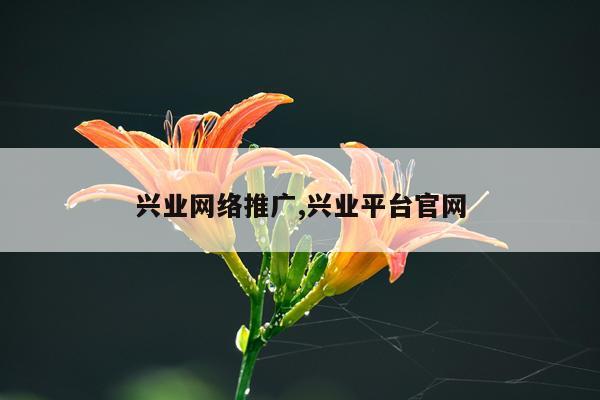 兴业网络推广,兴业平台官网