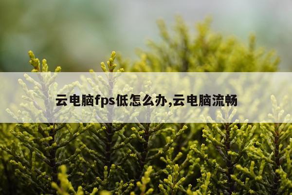 云电脑fps低怎么办,云电脑流畅